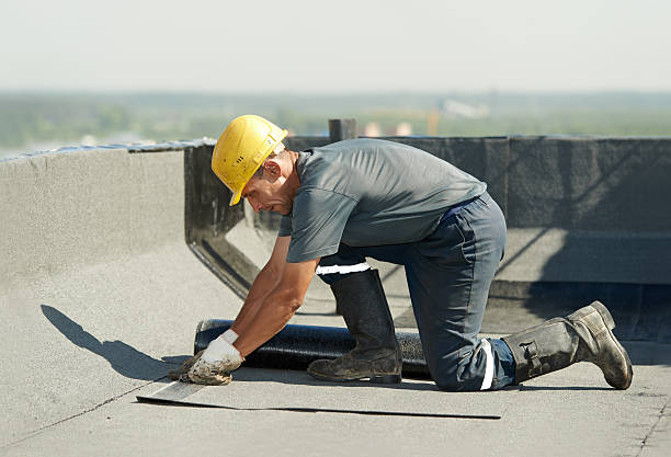 Best Energy Efficiency Solutions in Rexland Acres, CA