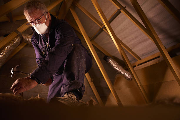 Best Insulation for Specific Applications in Rexland Acres, CA