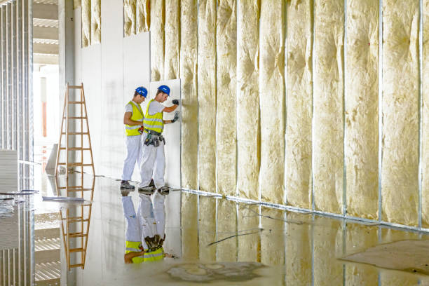 Best Residential Insulation in Rexland Acres, CA